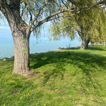 Zold Ido Apartman Siofok